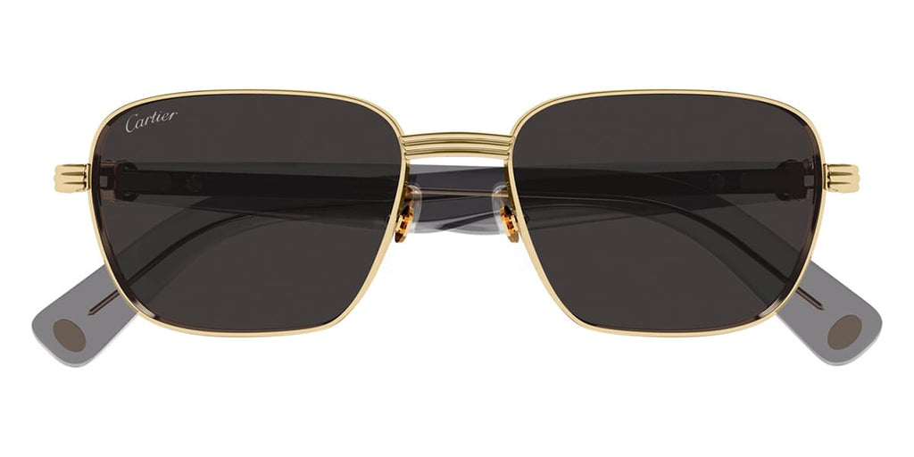 Cartier CT0538S