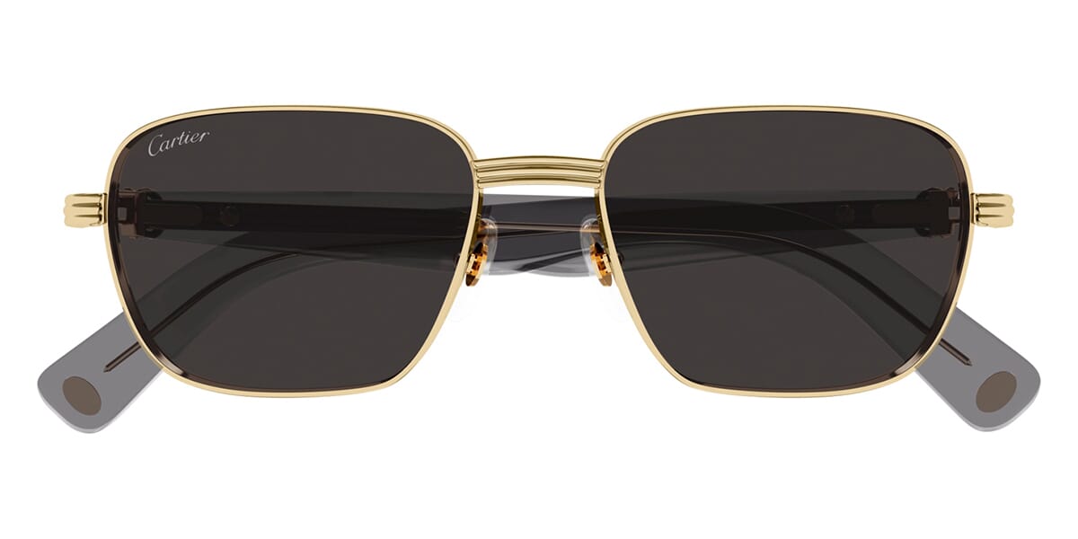 Cartier CT0538S