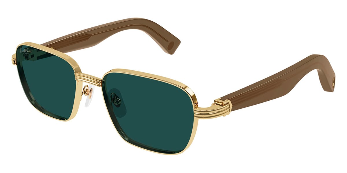 Cartier CT0538S