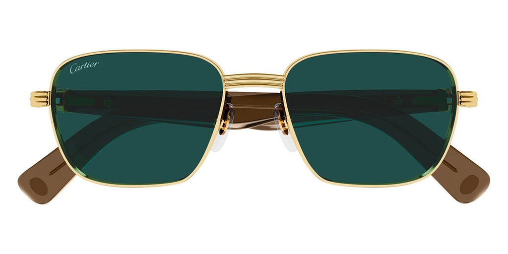 Cartier CT0538S