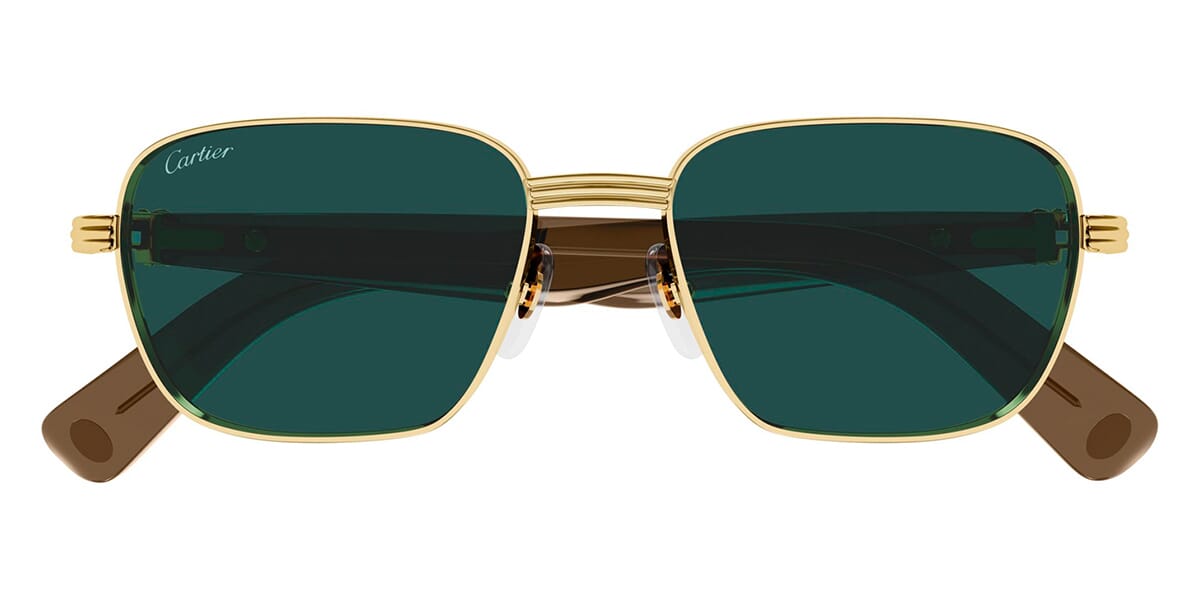 Cartier CT0538S