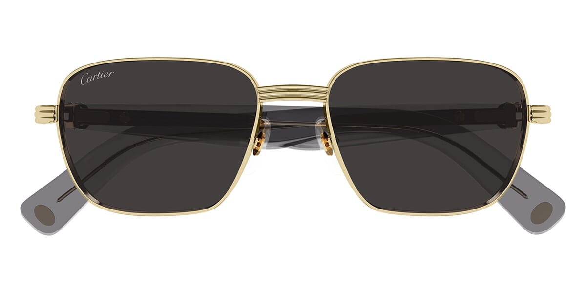 Cartier CT0538S