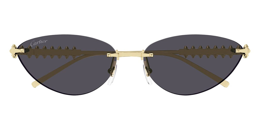 Cartier CT0543S