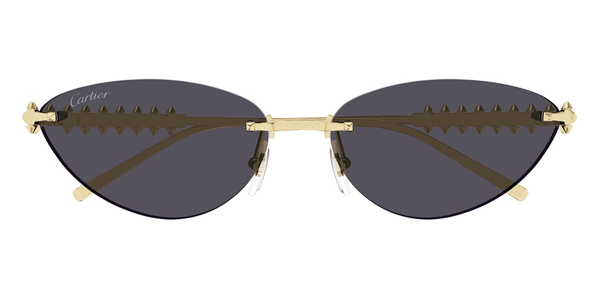 Cartier CT0543S