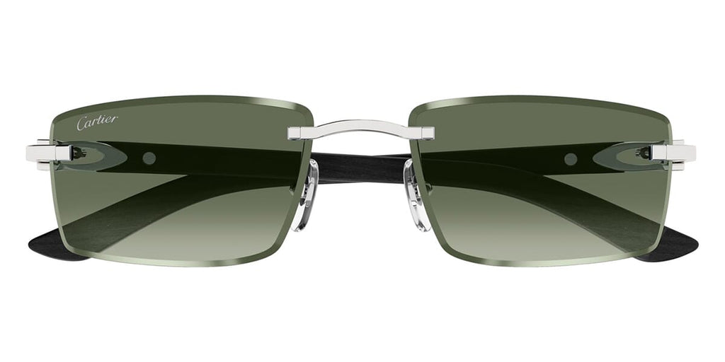 Cartier CT0582S