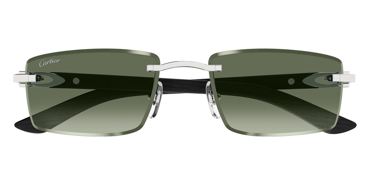Cartier CT0582S