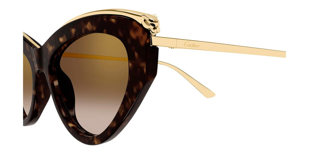 Cartier CT0596S
