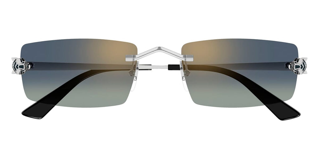 Cartier CT0598S