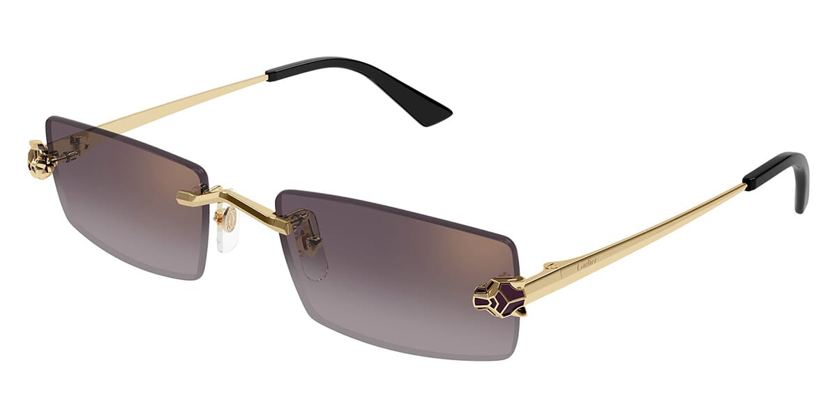 Cartier CT0598S