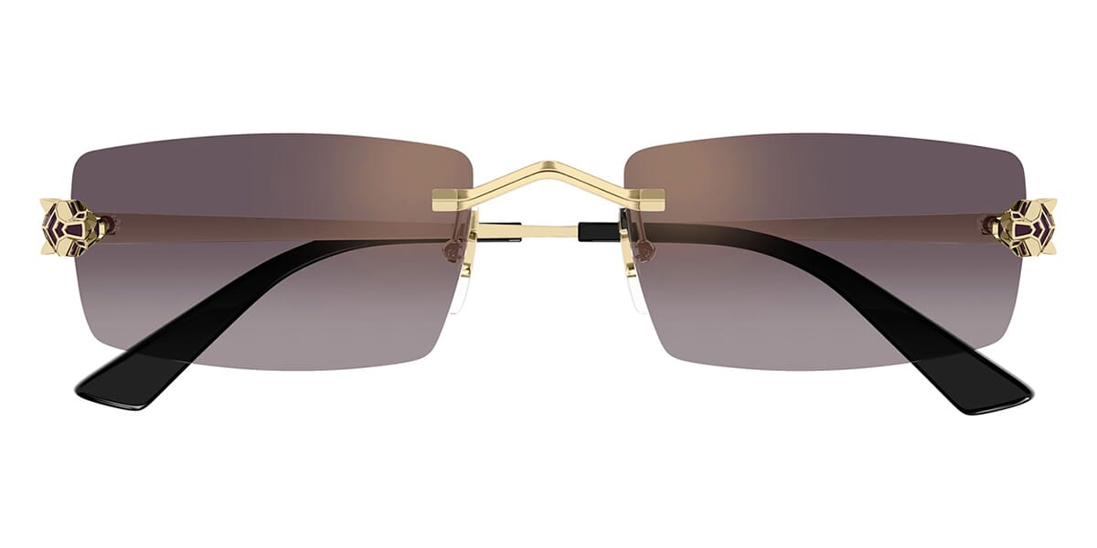 Cartier CT0598S