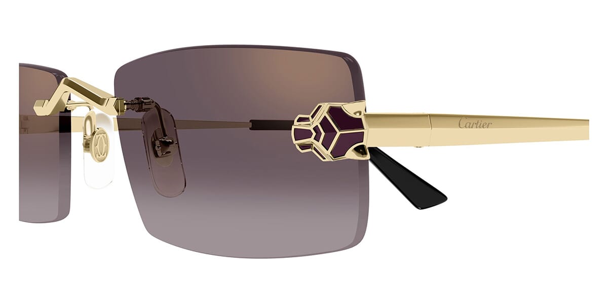 Cartier CT0598S