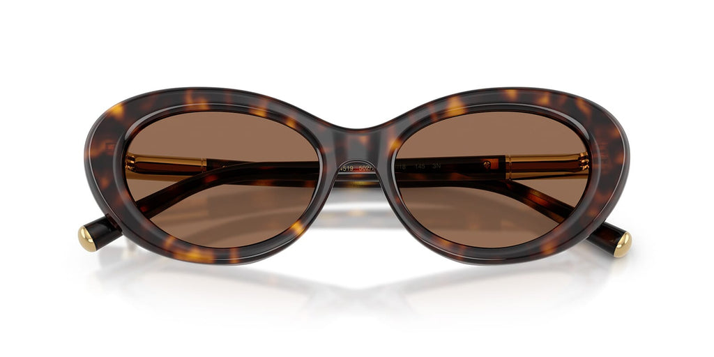 Dolce&Gabbana DG4519