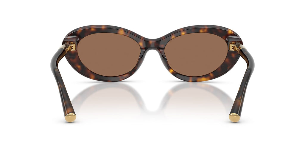Dolce&Gabbana DG4519