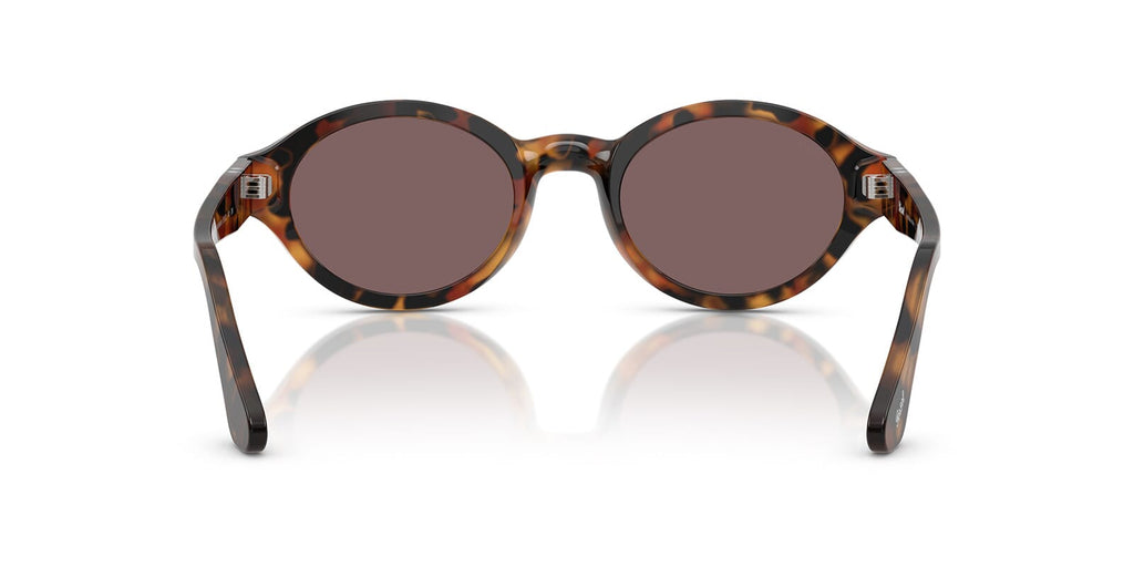 Persol Loris PO3378S