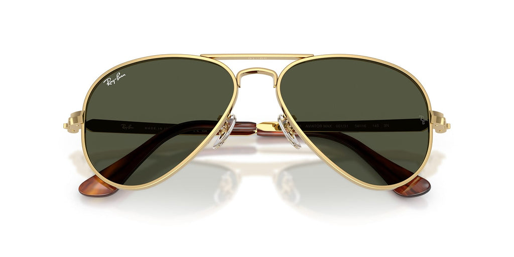 Ray-Ban Aviator Max RB3925