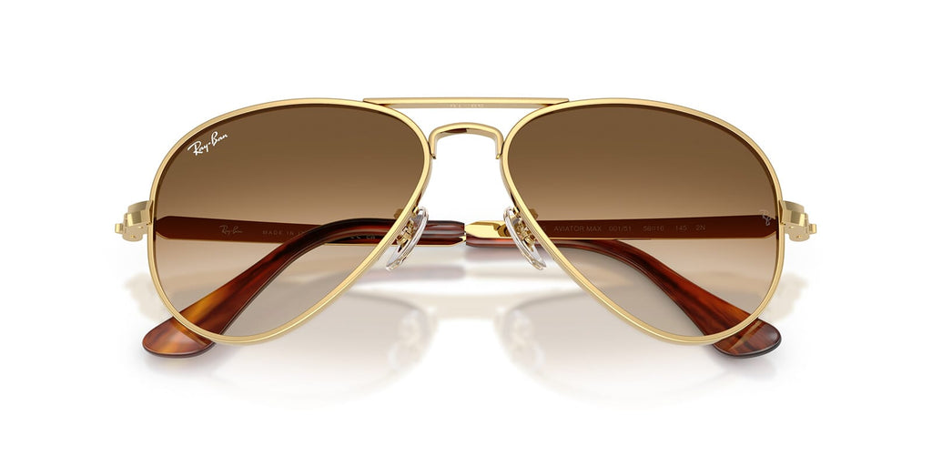 Ray-Ban Aviator Max RB3925