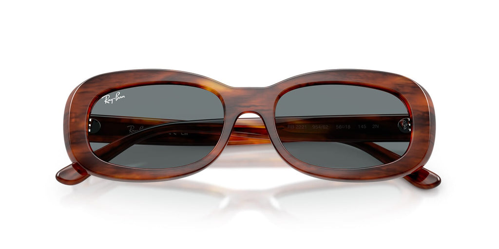 Ray-Ban RB2221