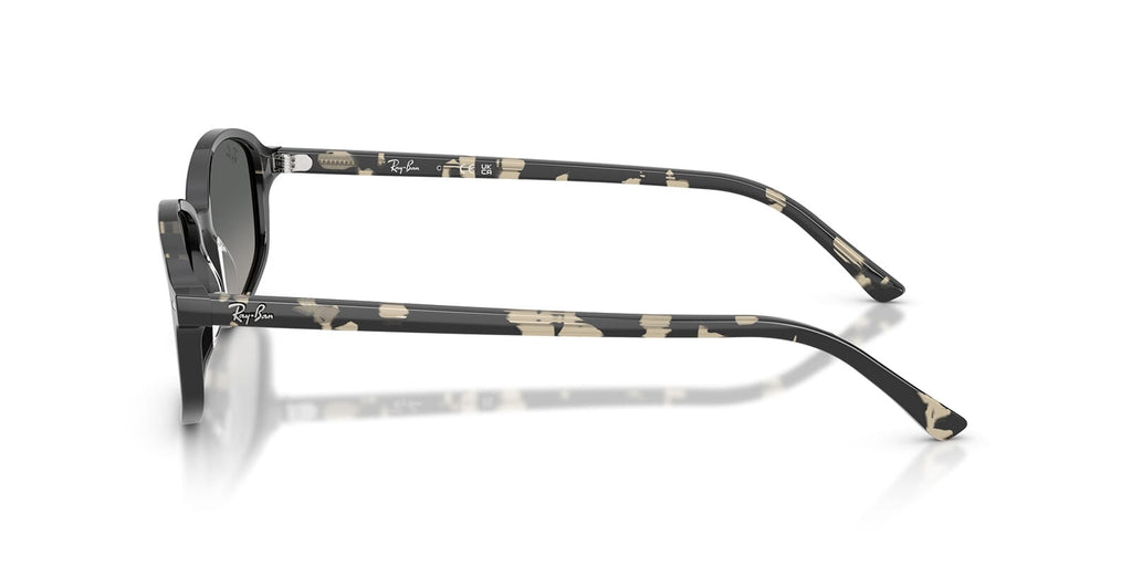 Ray-Ban RB2232