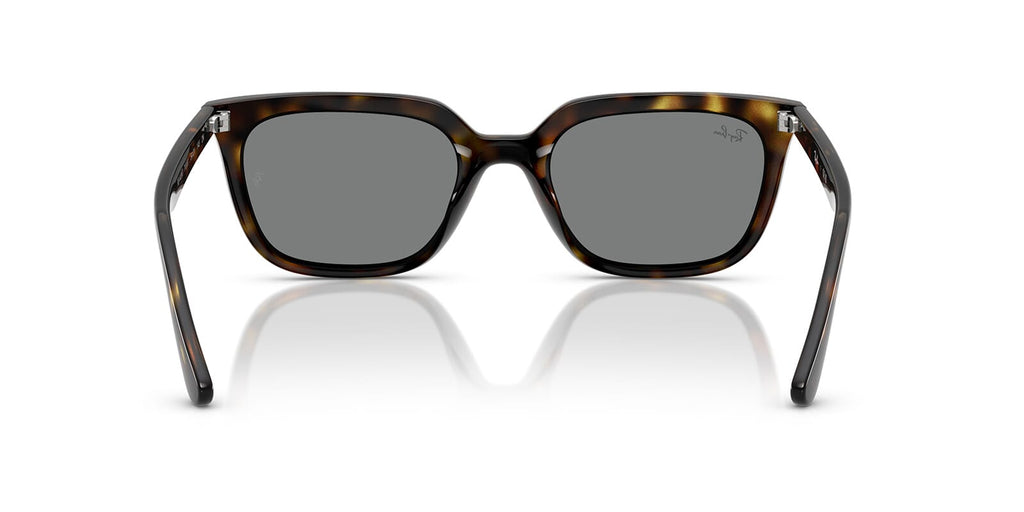 Ray-Ban RB4439D