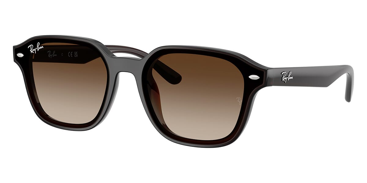Ray-Ban RB4458D