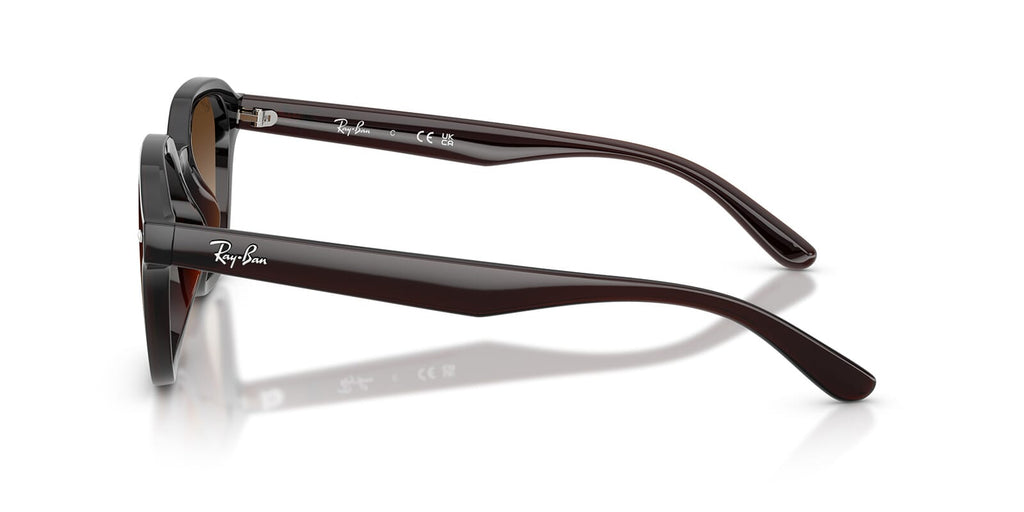 Ray-Ban RB4458D