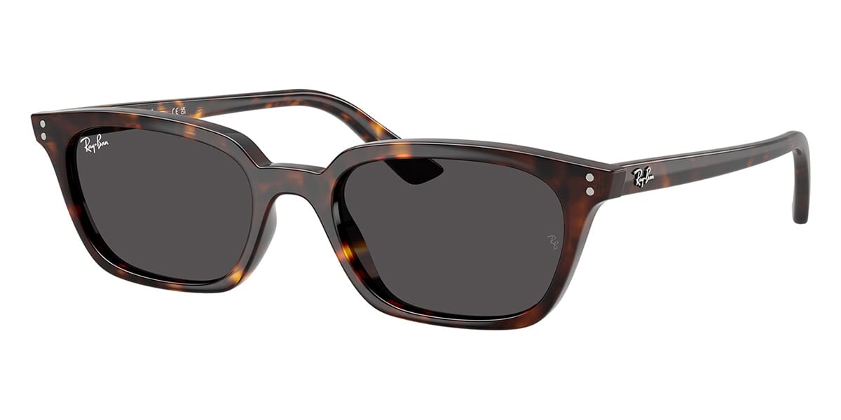 Ray-Ban Zaya RB4456