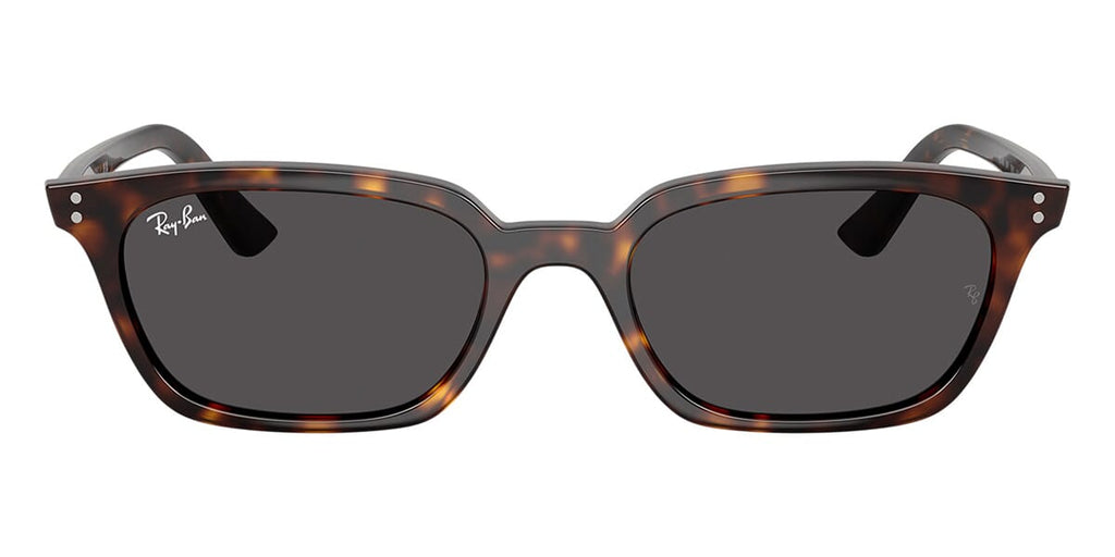 Ray-Ban Zaya RB4456