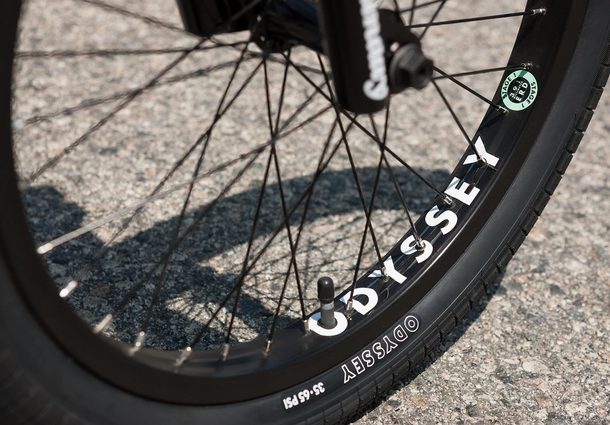 Sunday Forecaster Bike (Freecoaster)