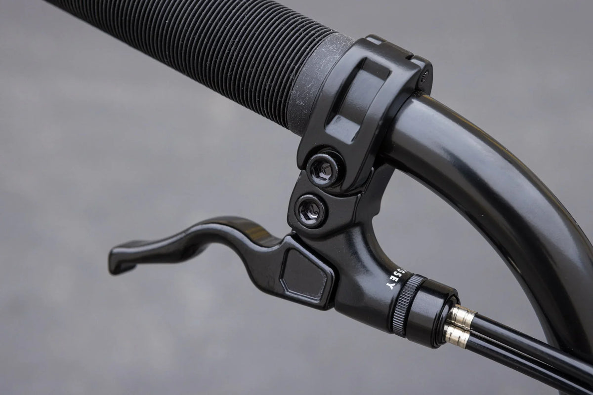Sunday Forecaster Park Bike (Maca Perez Grasset Signature)
