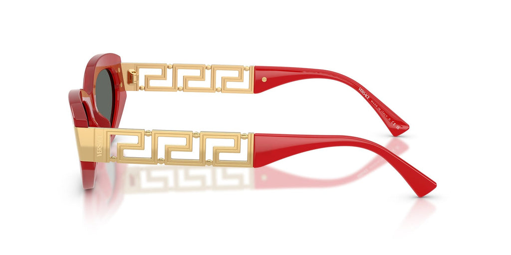 Versace VE4501