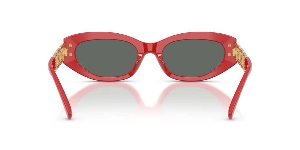 Versace VE4501